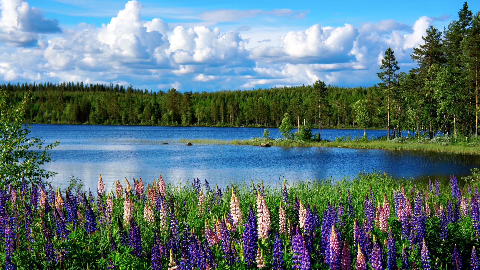 Landscape Photography